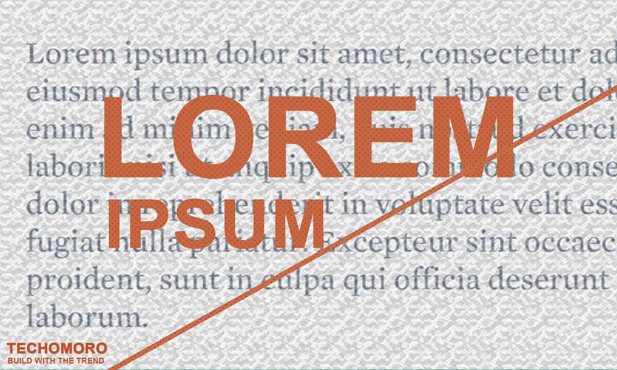 What Is Lorem Ipsum and How to Use It in Our Project - Techomoro
